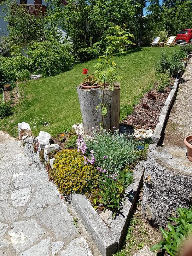 B&B I Faggi Lavarone Luaran gambar